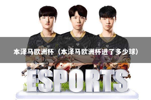 本泽马欧洲杯（本泽马欧洲杯进了多少球）