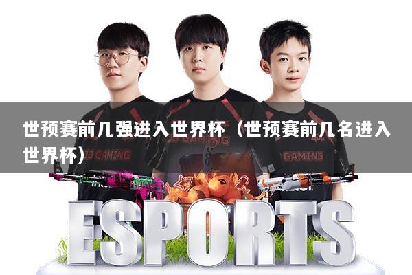 世预赛前几强进入世界杯（世预赛前几名进入世界杯）