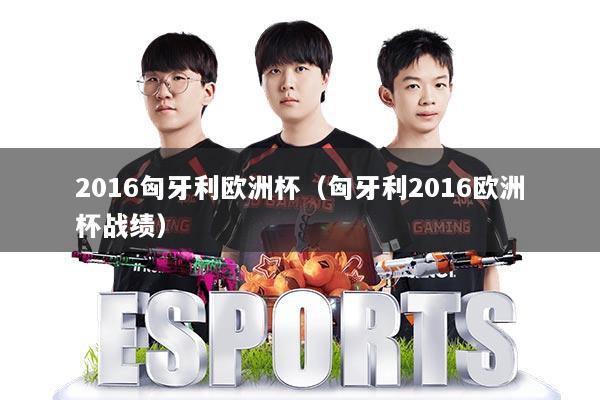 2016匈牙利欧洲杯（匈牙利2016欧洲杯战绩）